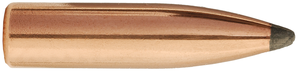 (image for) Sierra 6mm 100gr SPT ProHunter 100ct